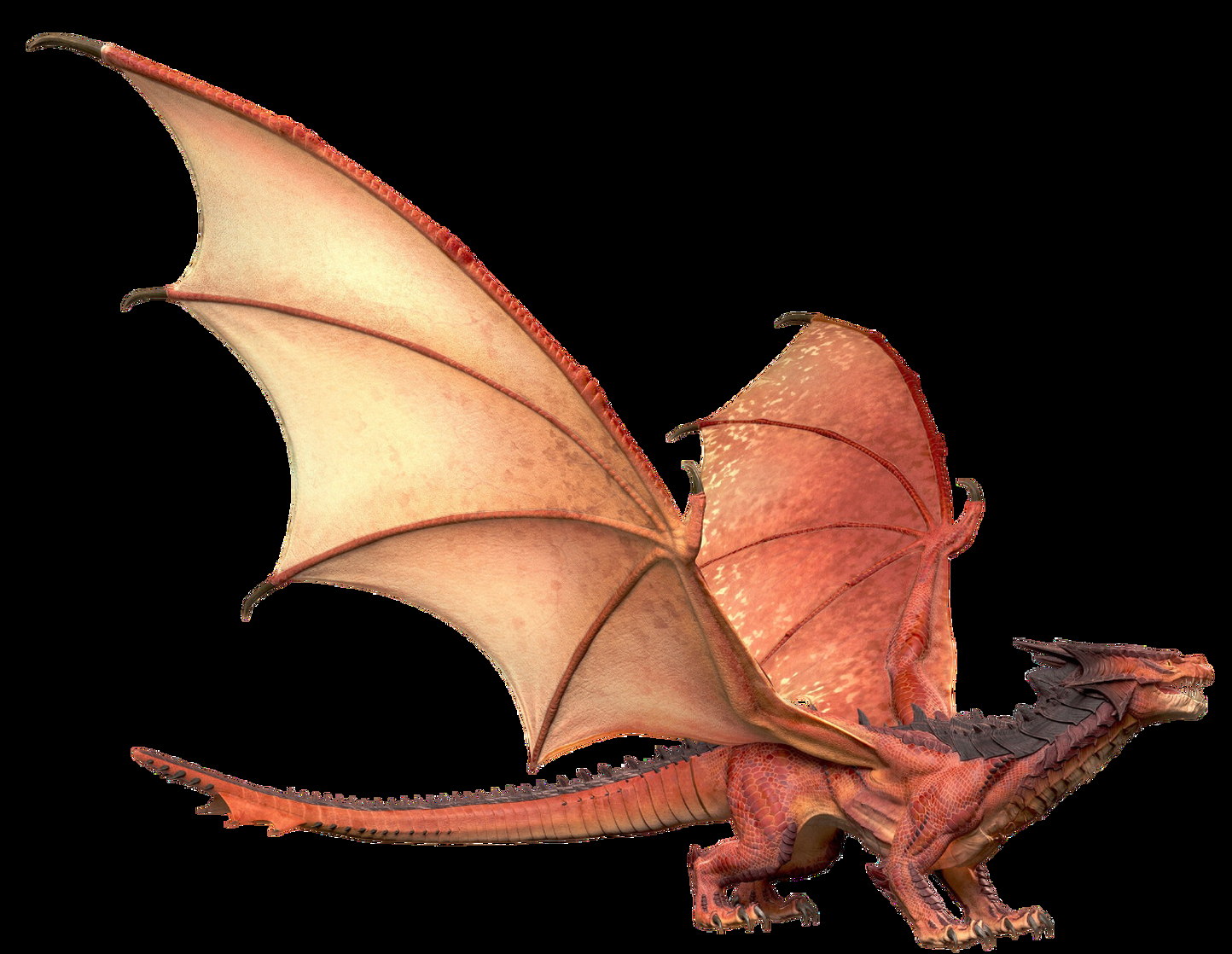 Acid Dragon