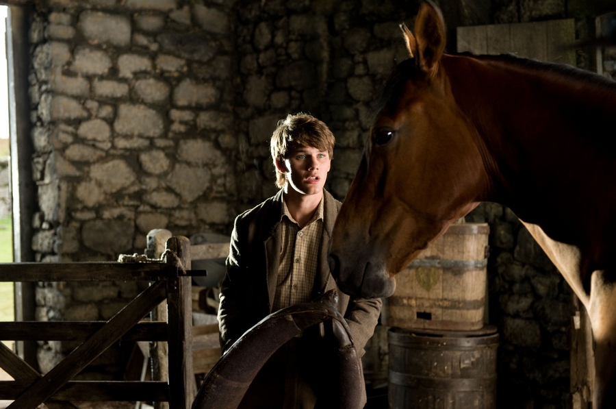War Horse