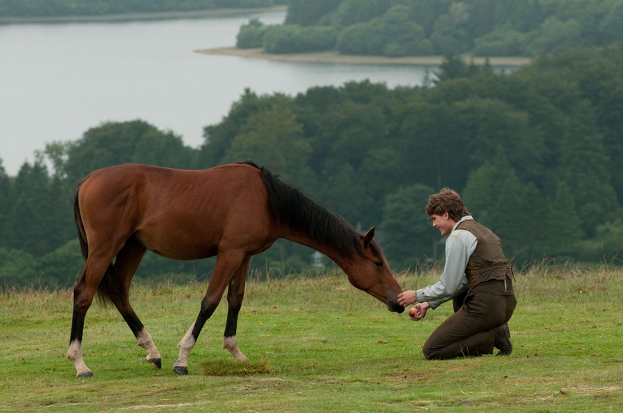 War Horse