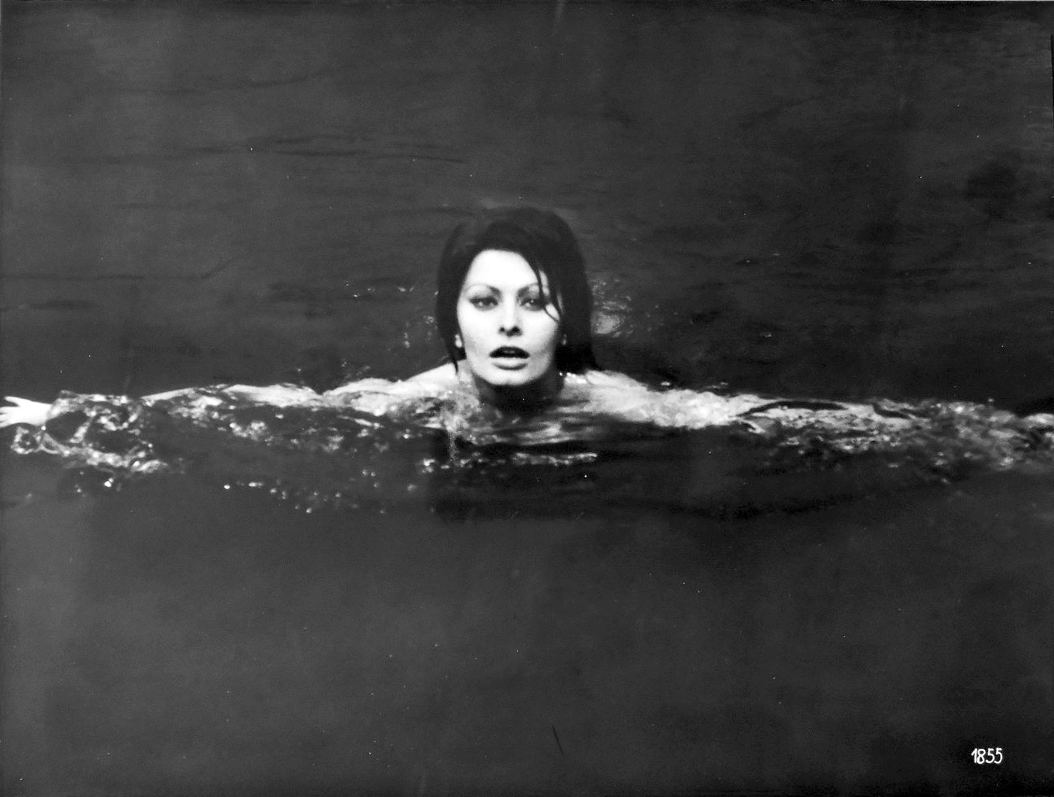 Sophia Loren