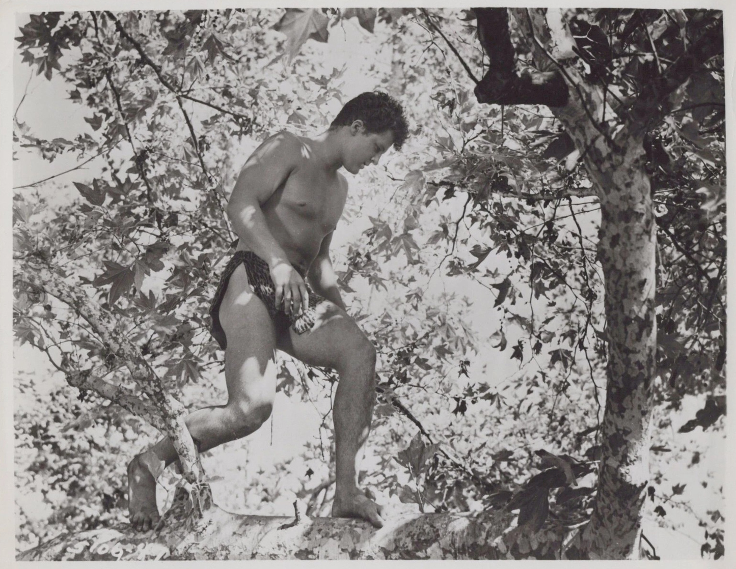 Johnny Sheffield