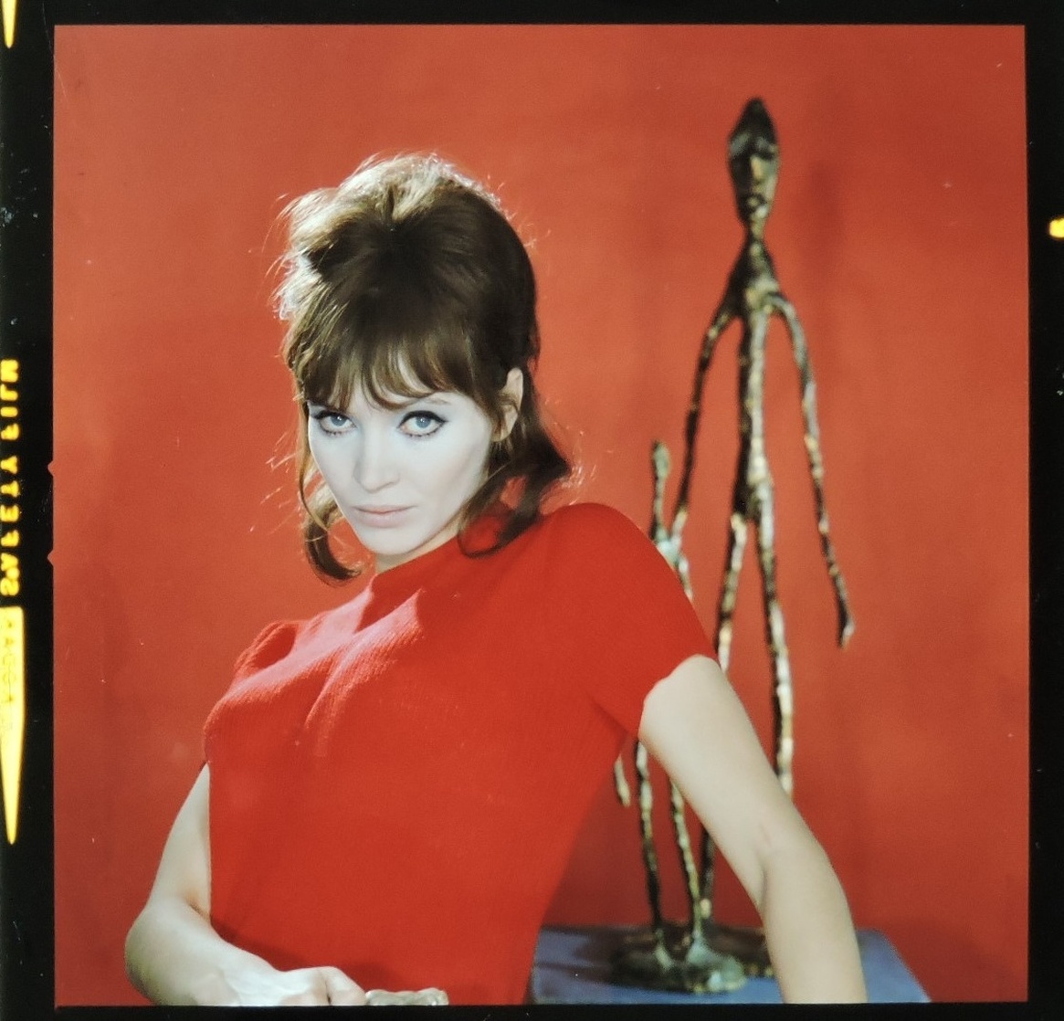 Anna Karina Anna Karina