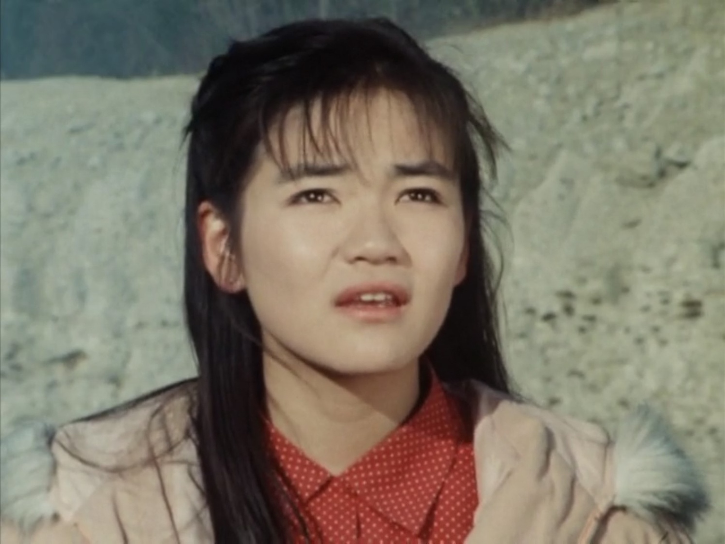 Rin (Dairanger)