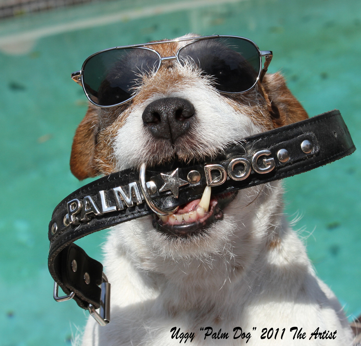 Uggie