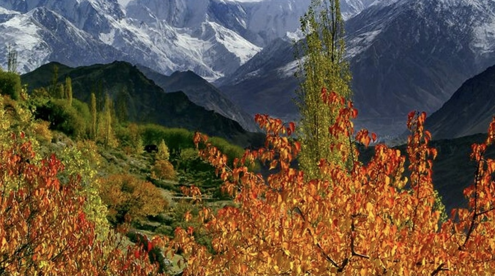 Pakistan