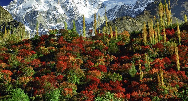 Pakistan