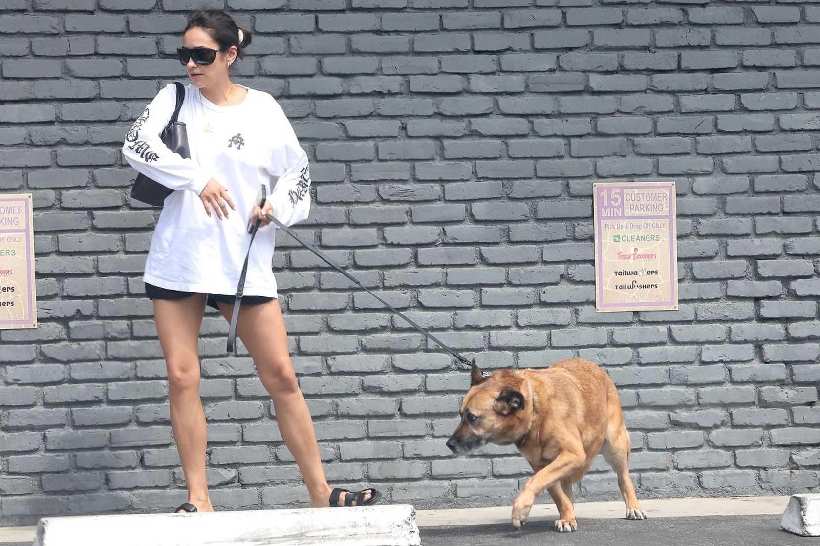 Shay Mitchell