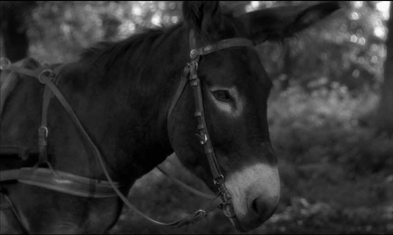 Balthazar (1966)