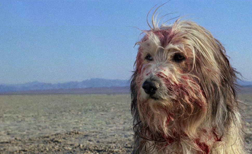 Blood (A Boy and his Dog)