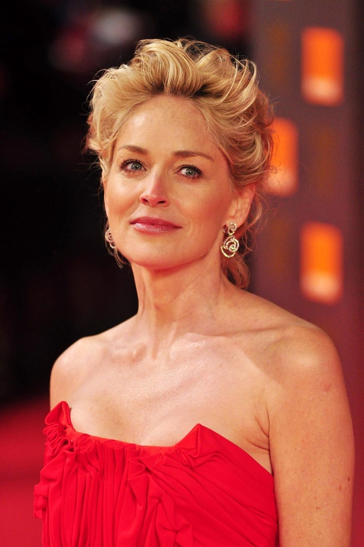 Picture of Sharon Stone