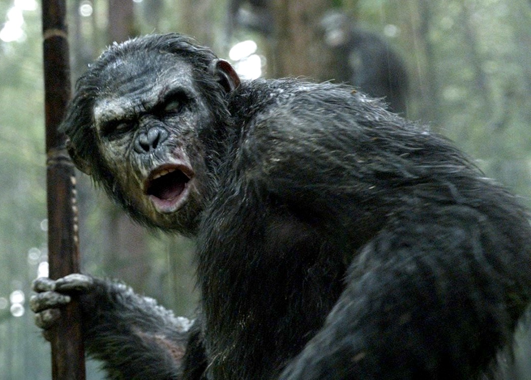 Koba