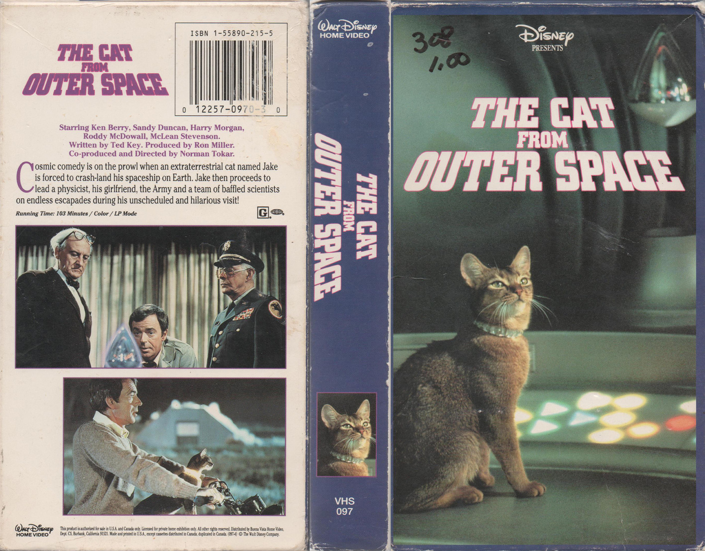 Image of the cat from outer space