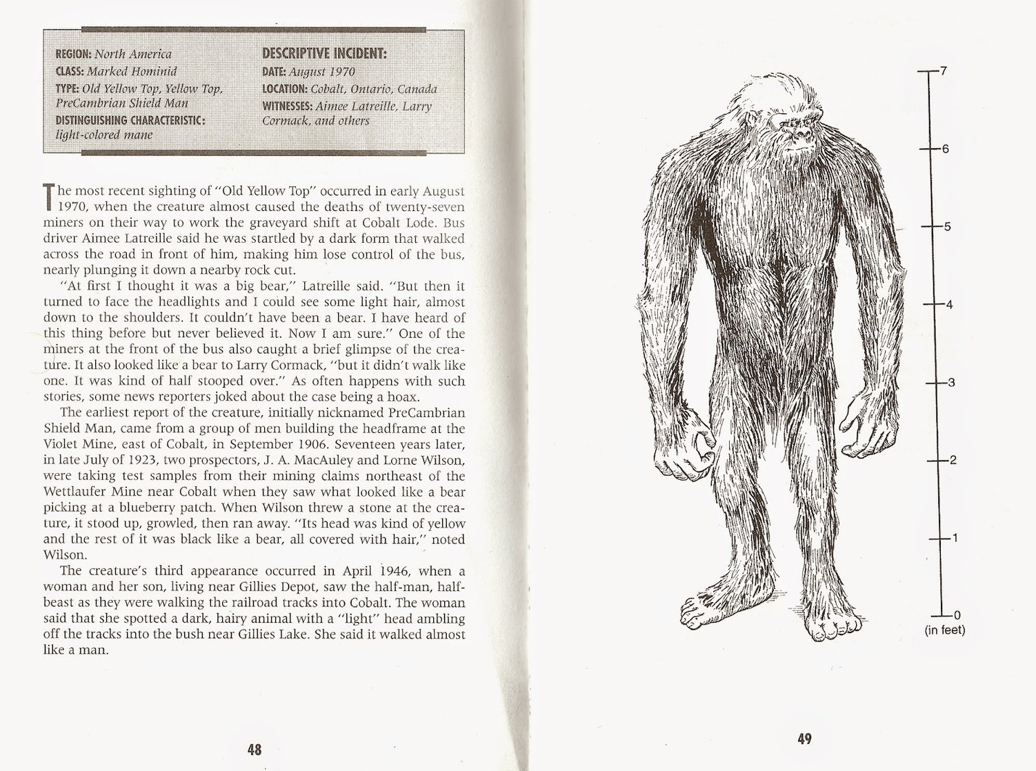 The Field Guide to Bigfoot and Other Mystery Primates