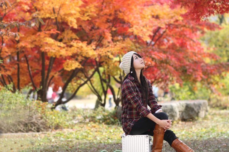 Han Chae I