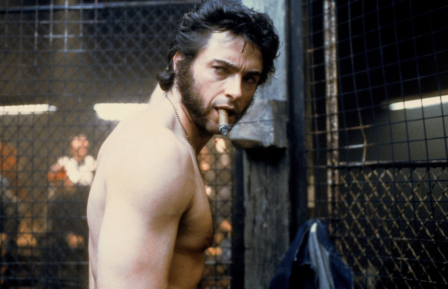 Wolverine / Logan  (Hugh Jackman)