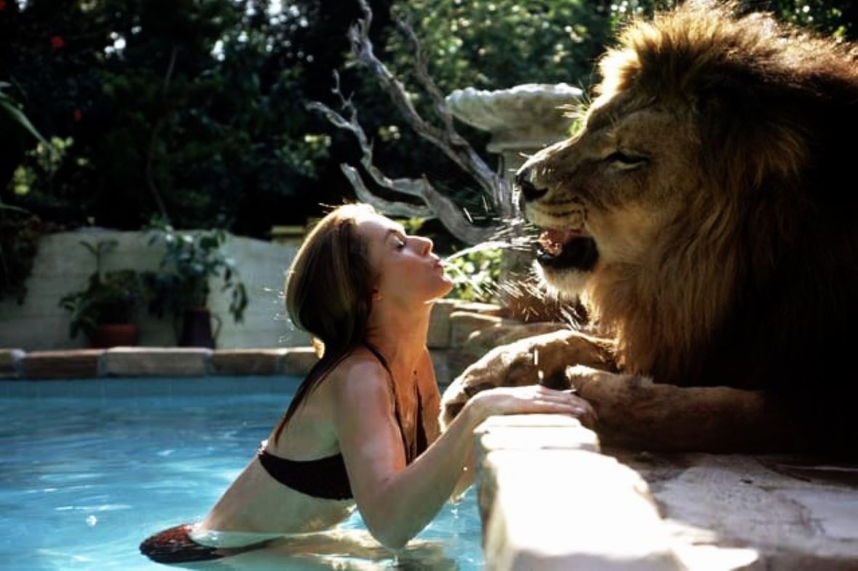 Tippi Hedren Tippi Hedren