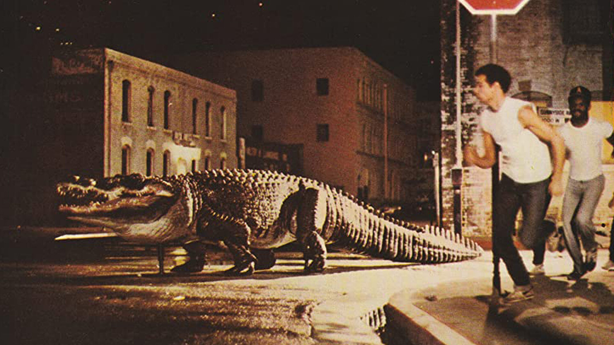 Alligator