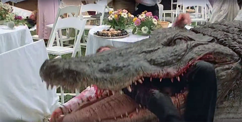 Alligator