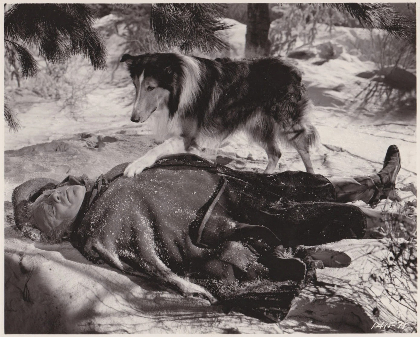 Lassie