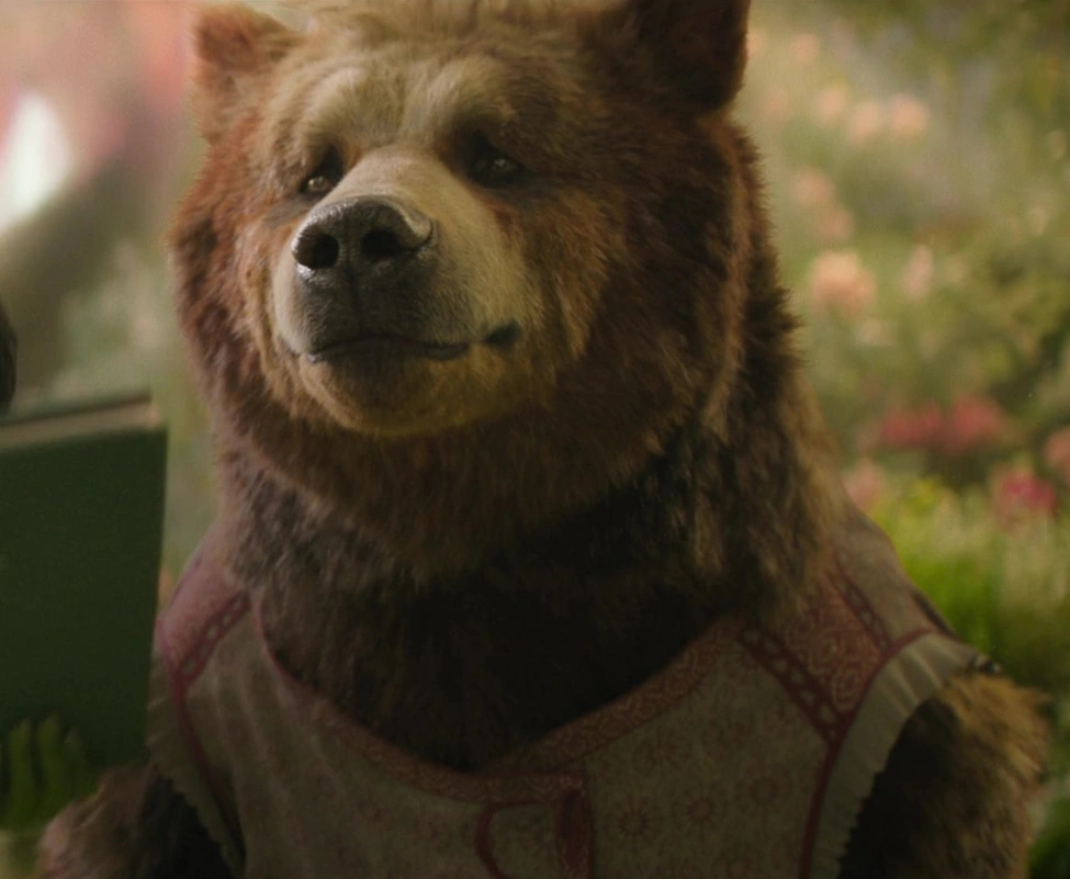 Dulcibear