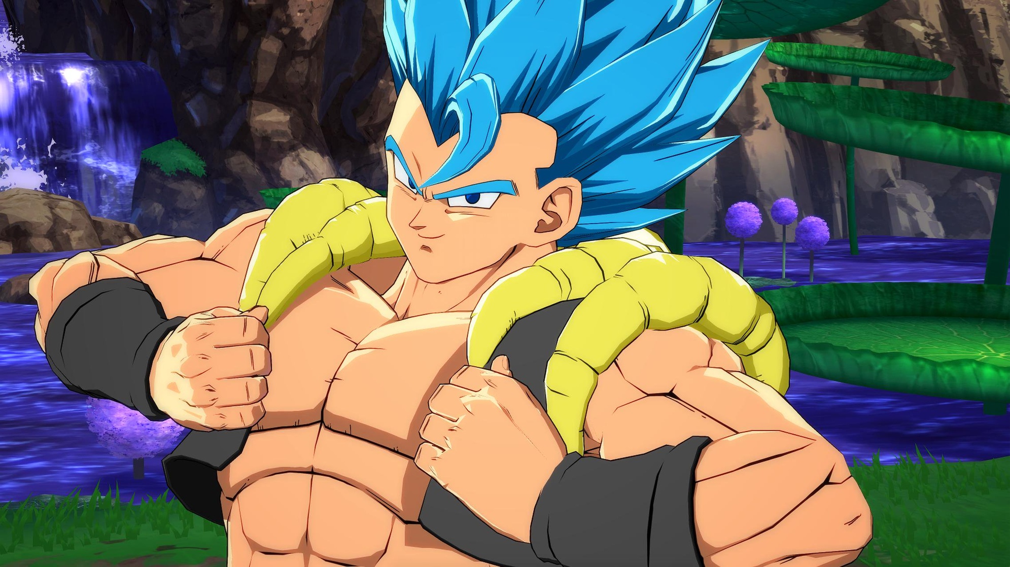 Vegetto