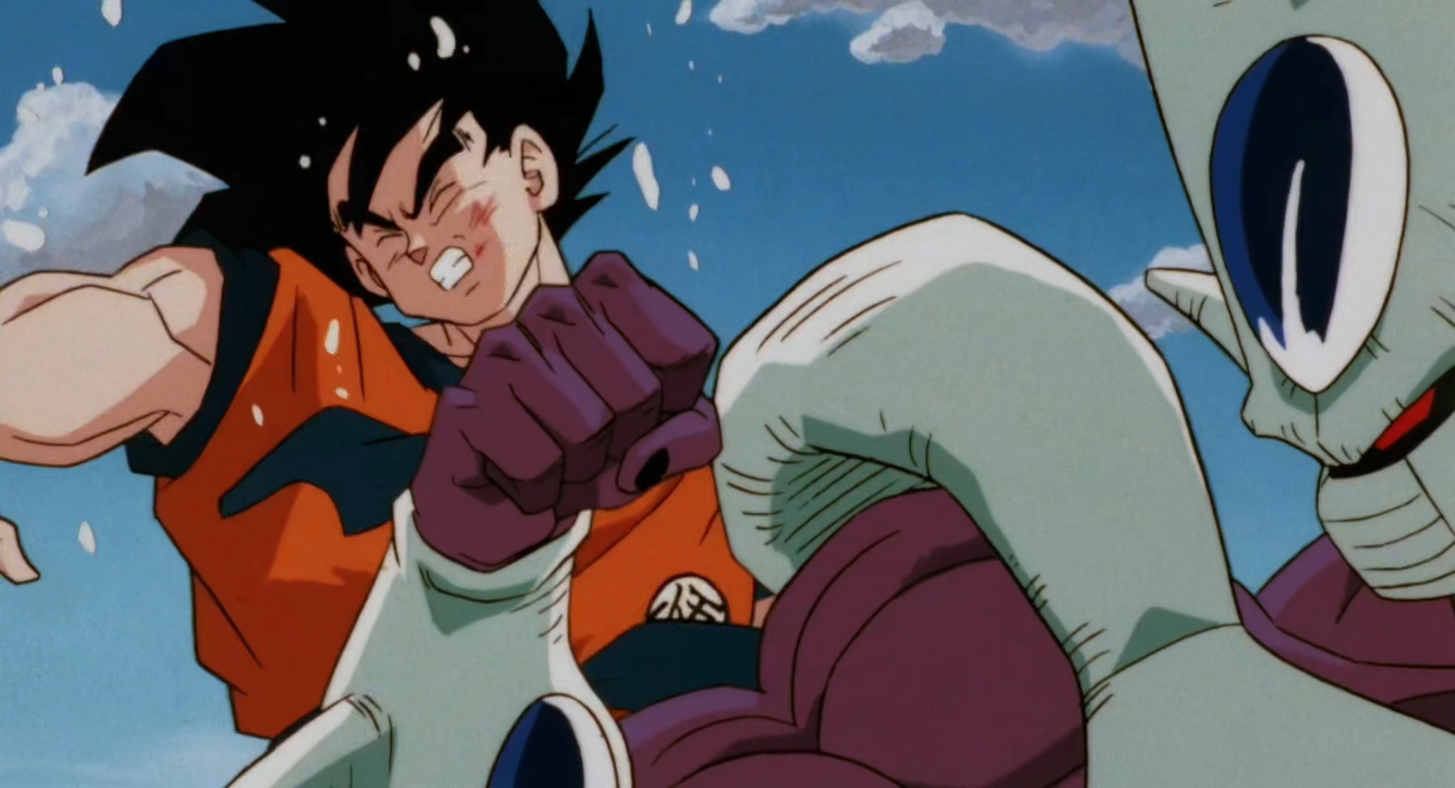Cooler