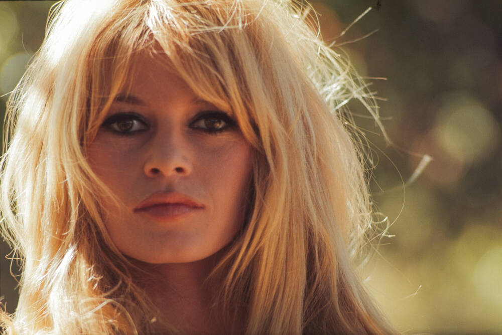 Brigitte Bardot Brigitte Bardot