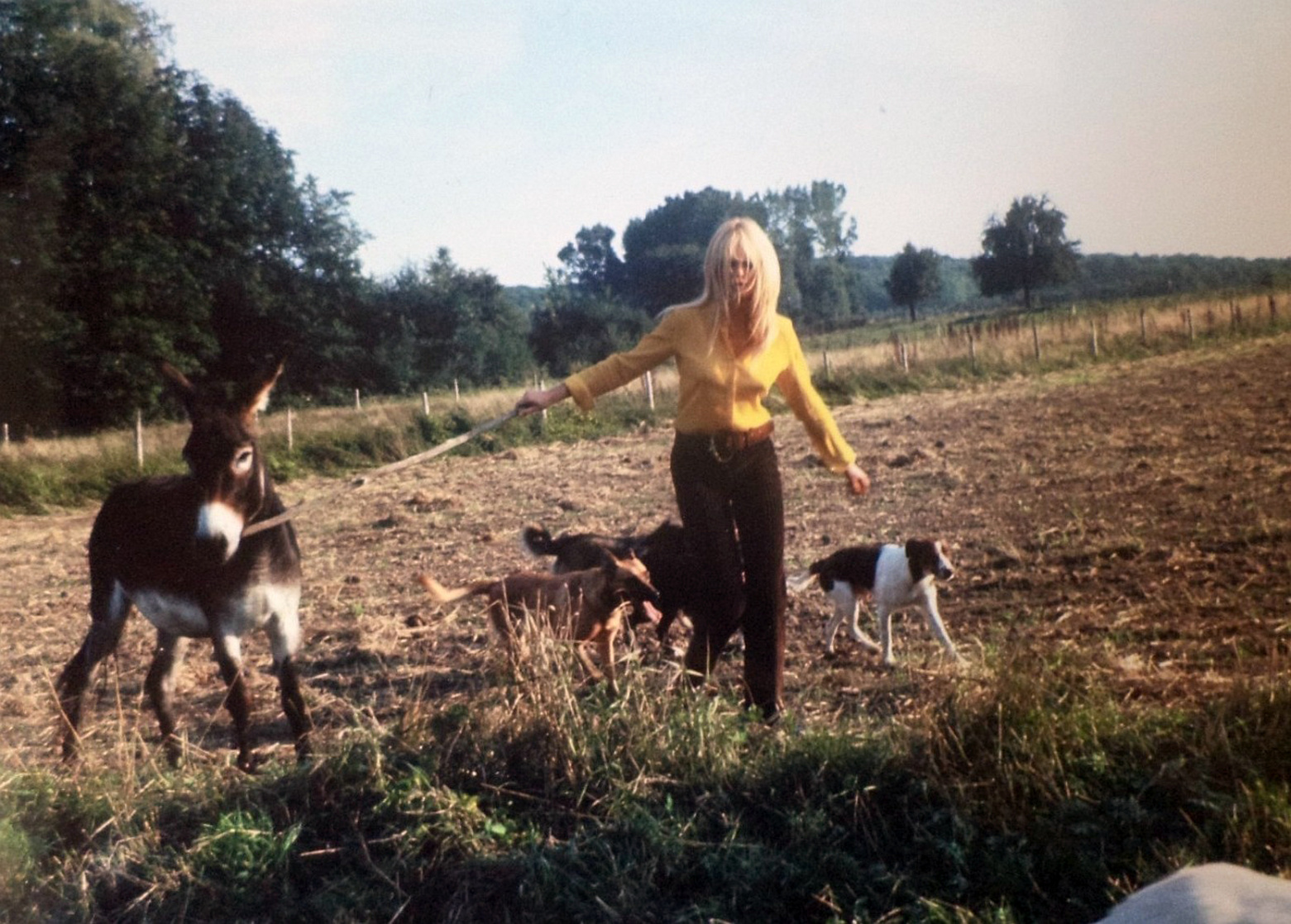 Brigitte Bardot Brigitte Bardot