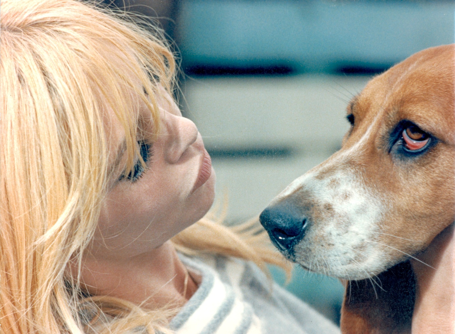 Brigitte Bardot Brigitte Bardot