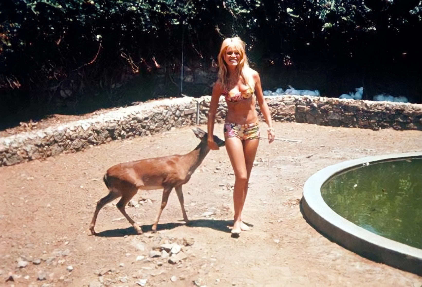 Brigitte Bardot Brigitte Bardot