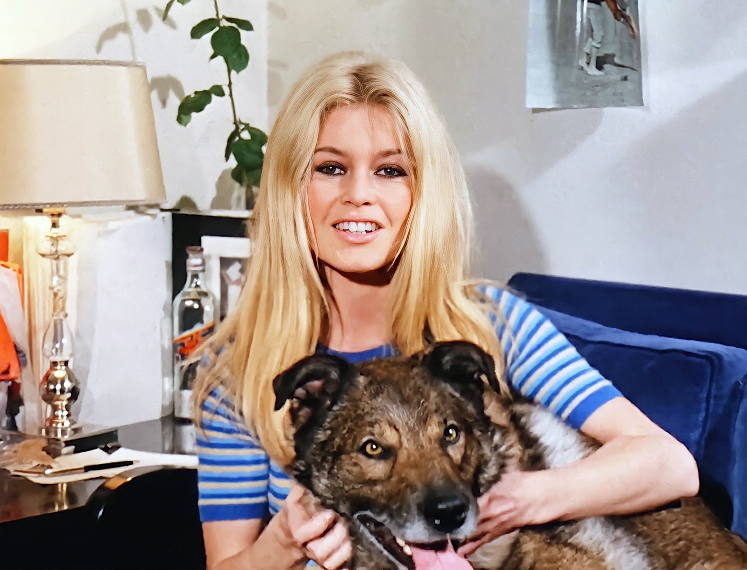 Brigitte Bardot Brigitte Bardot