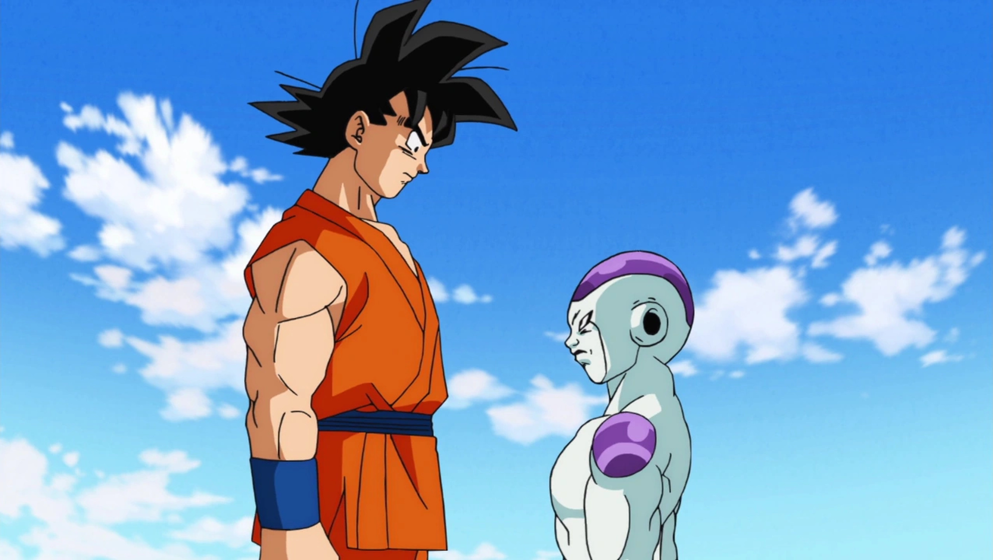 Son Goku / Kakarot