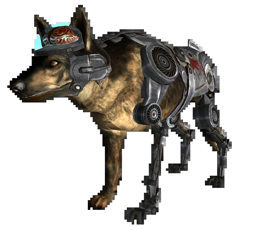 Rex (Fallout: New Vegas)