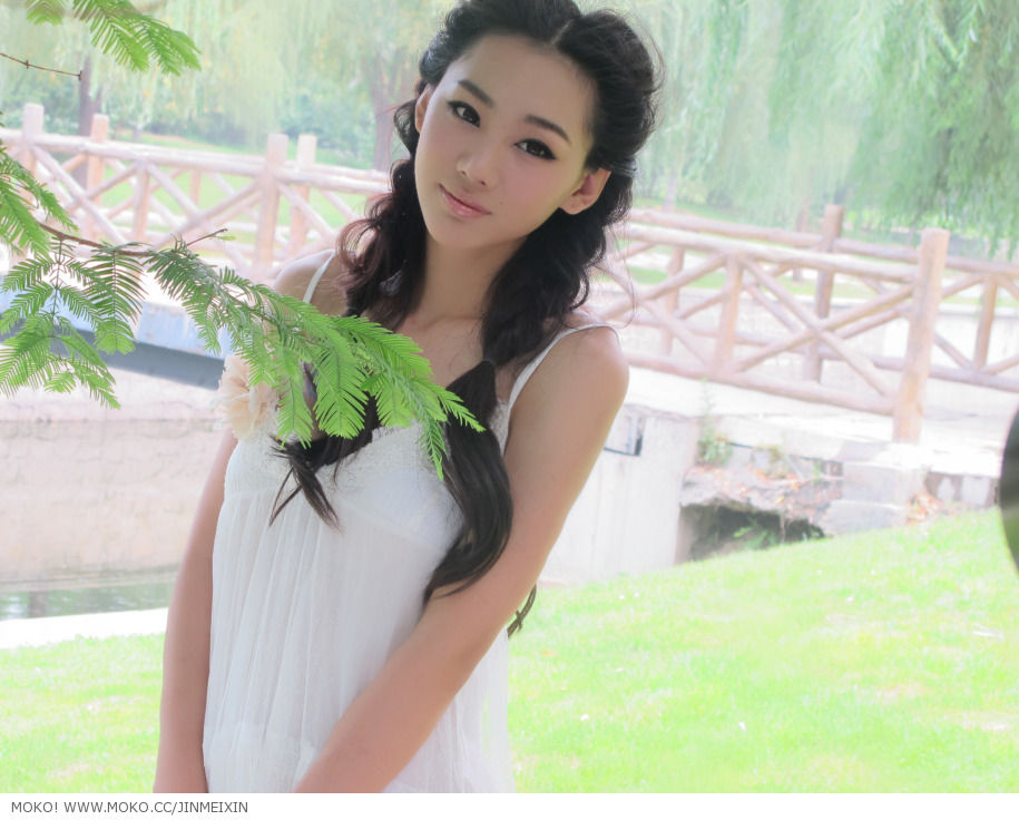 Jin Mei Xin