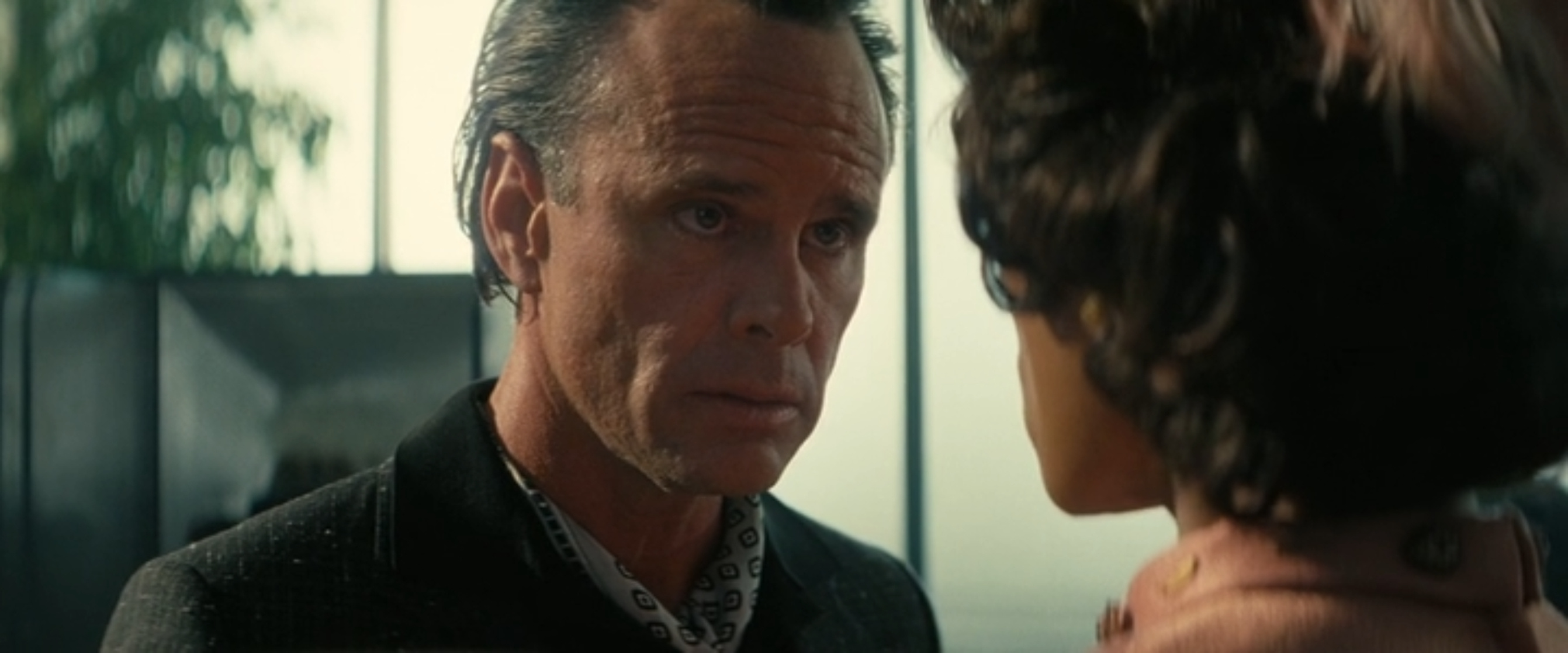 Cooper Howard / The Ghoul