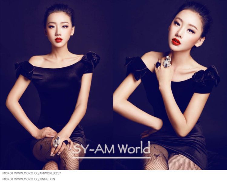Jin Mei Xin