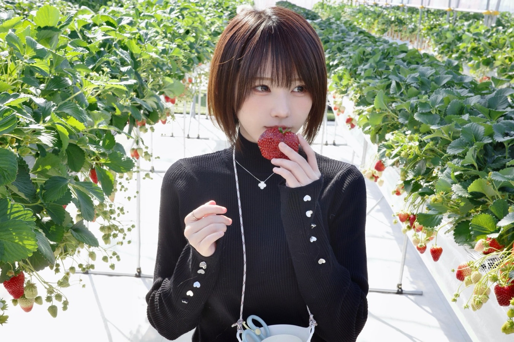 Enako