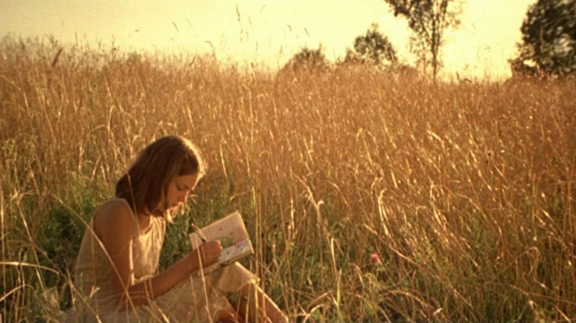 The Virgin Suicides The Virgin Suicides