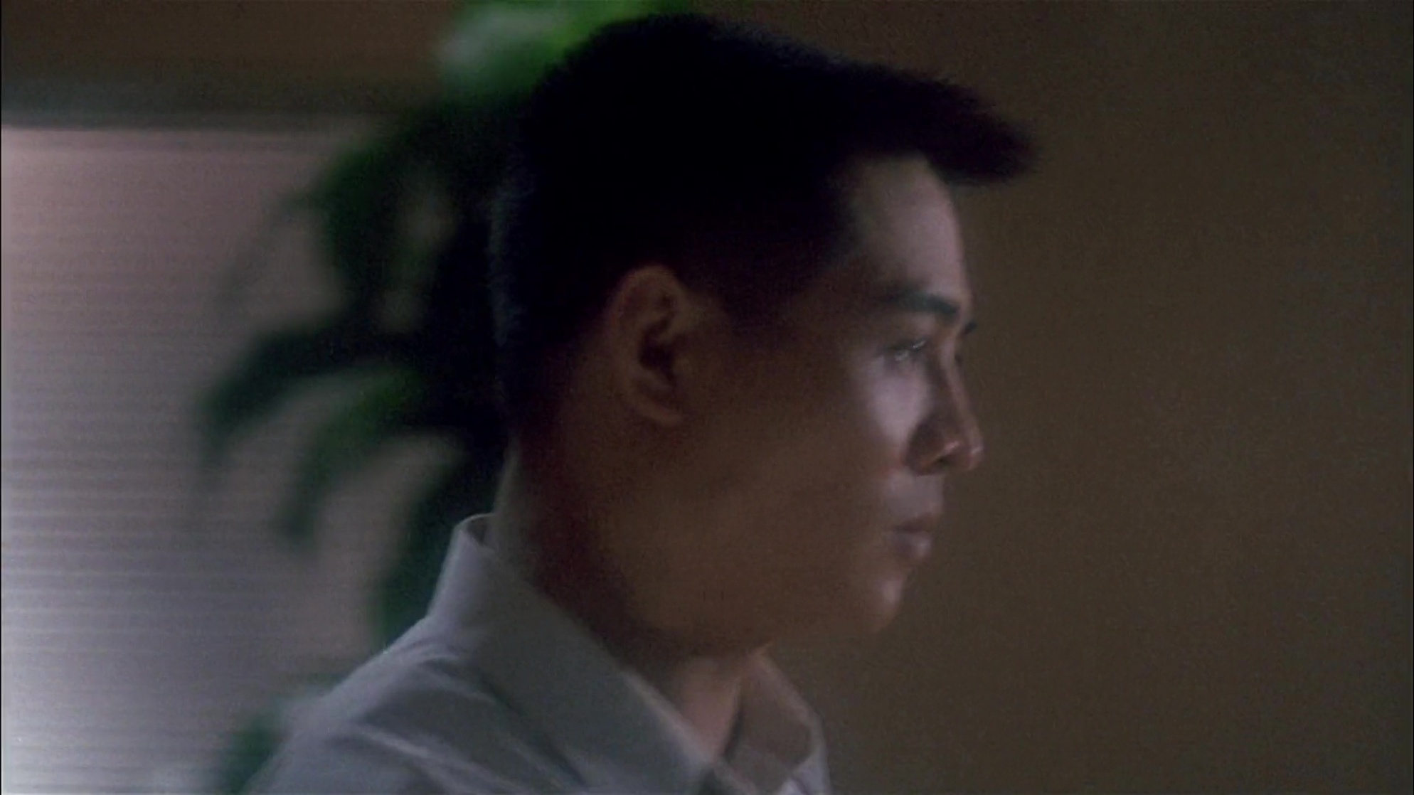 The Defender (The Bodyguard from Beijing) The Defender (The Bodyguard from Beijing)