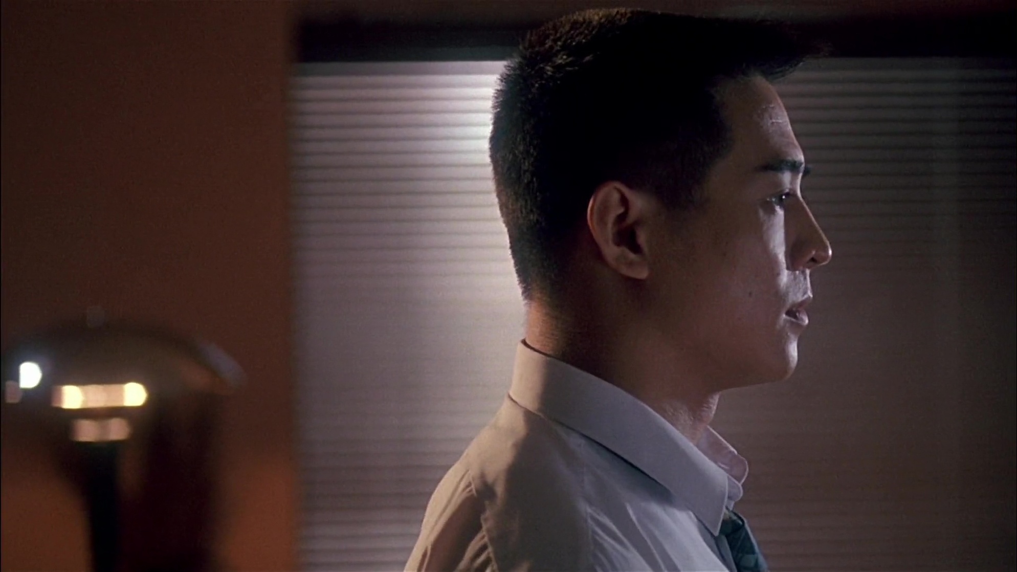 The Defender (The Bodyguard from Beijing) The Defender (The Bodyguard from Beijing)