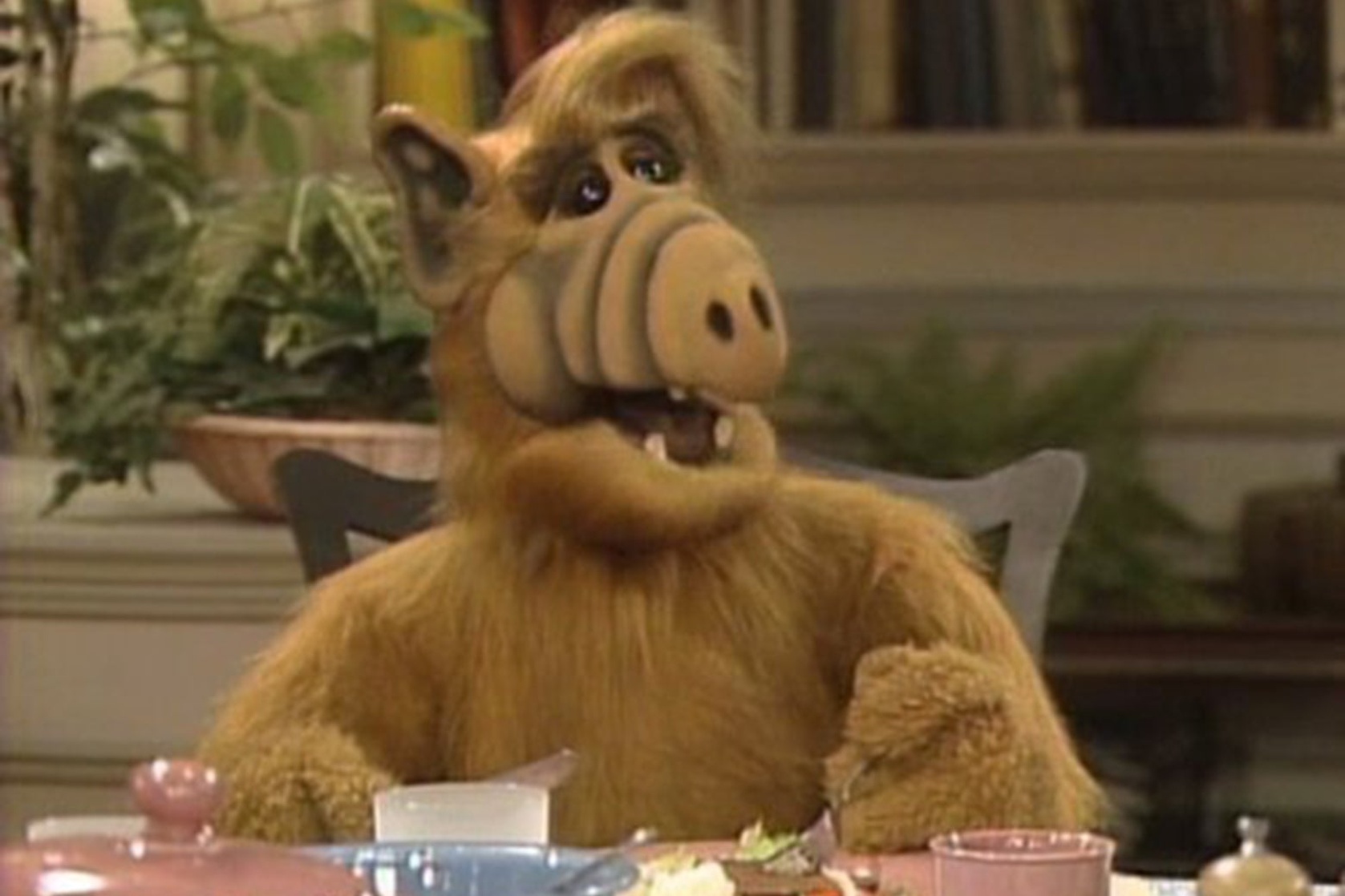 ALF