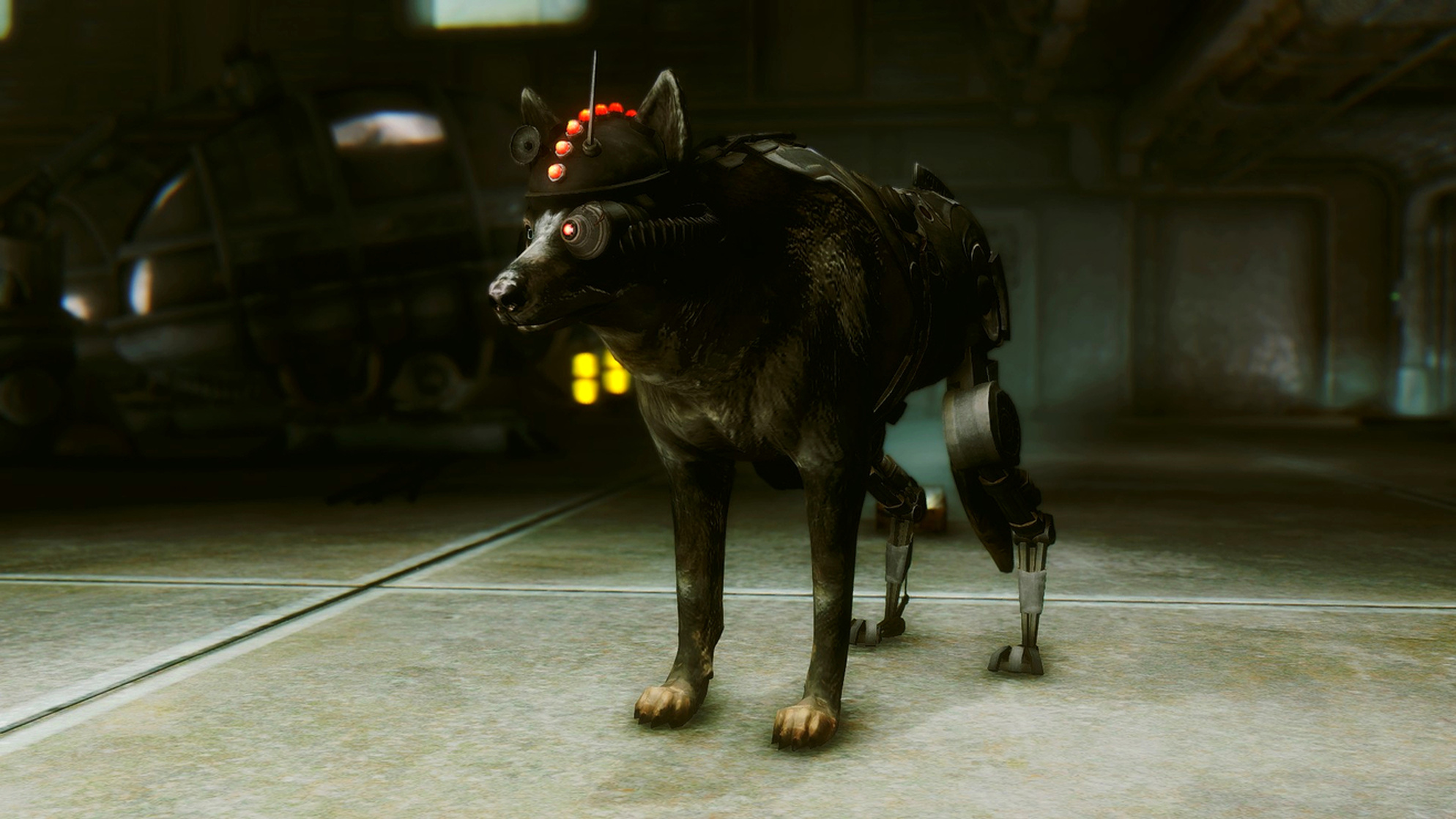 K-9