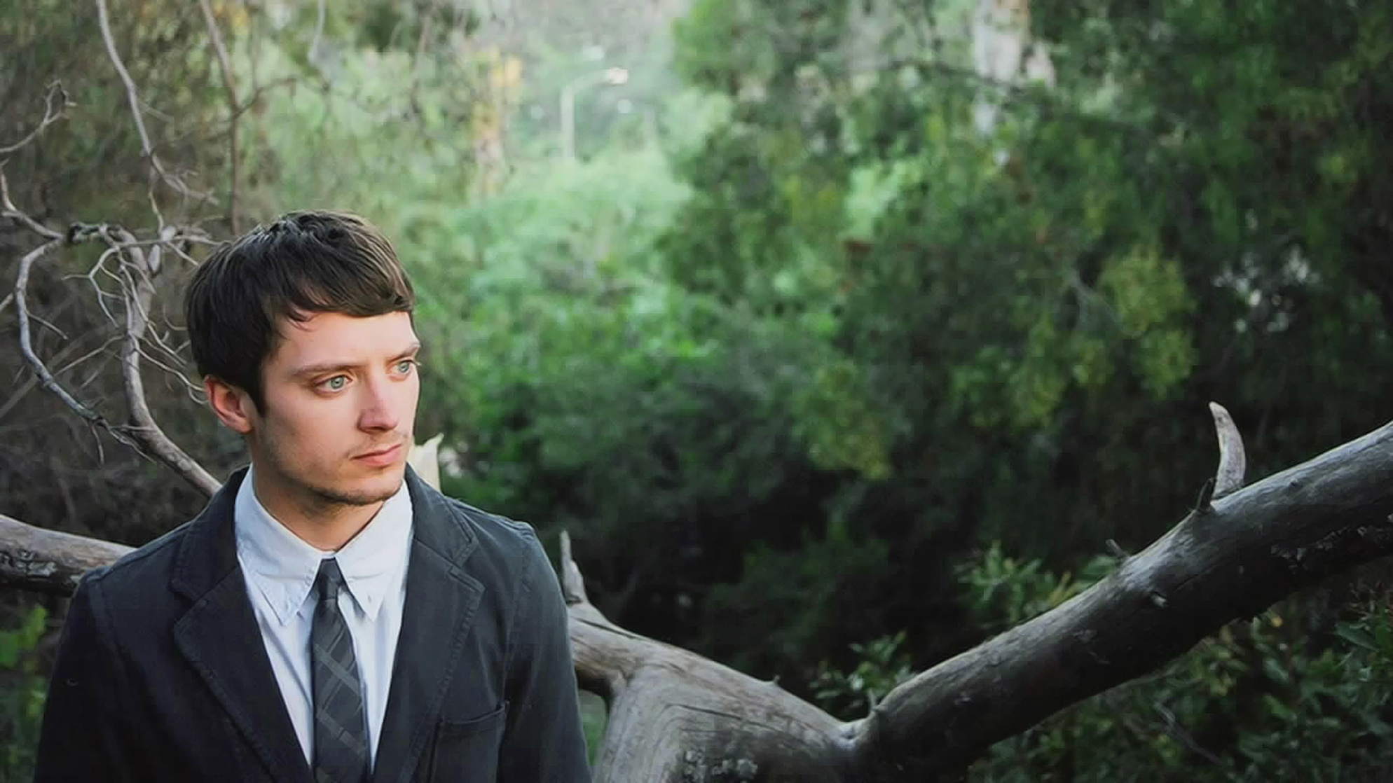 Picture of Elijah Wood