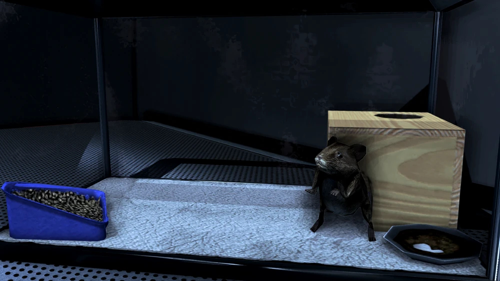 Space Hamster