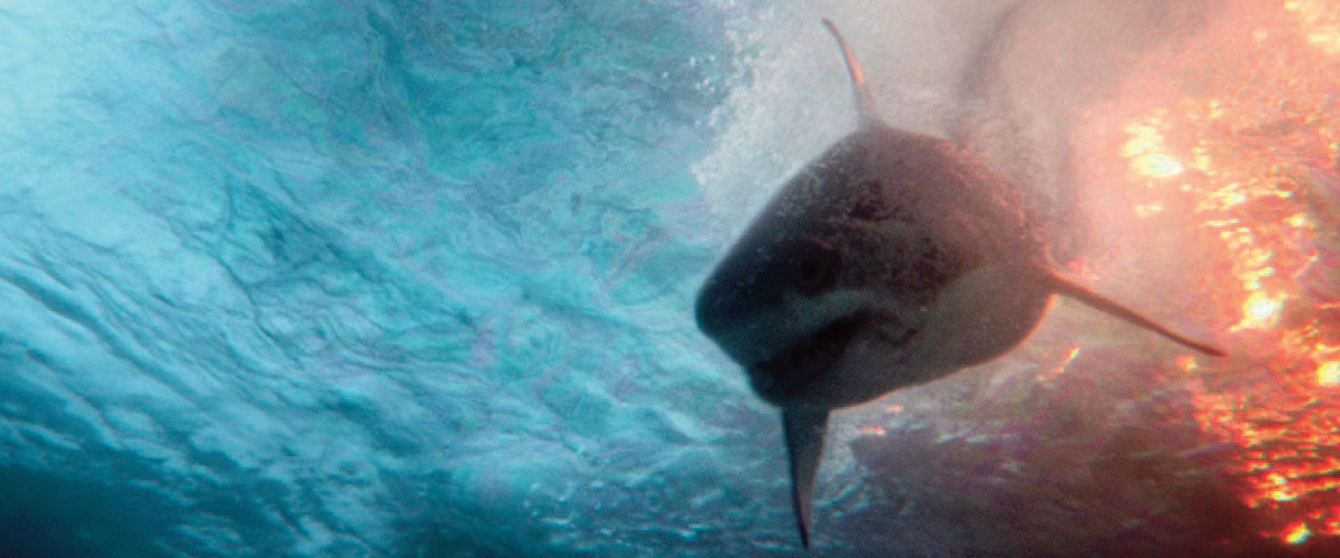 Deep Water Deep Water