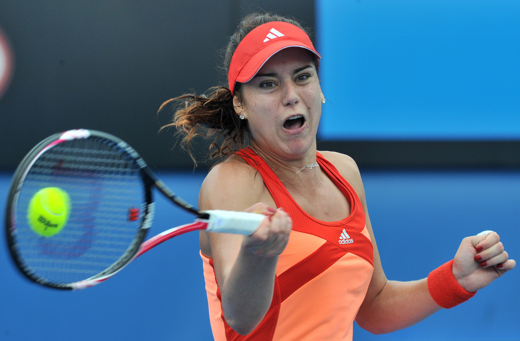 Picture of Sorana Cirstea