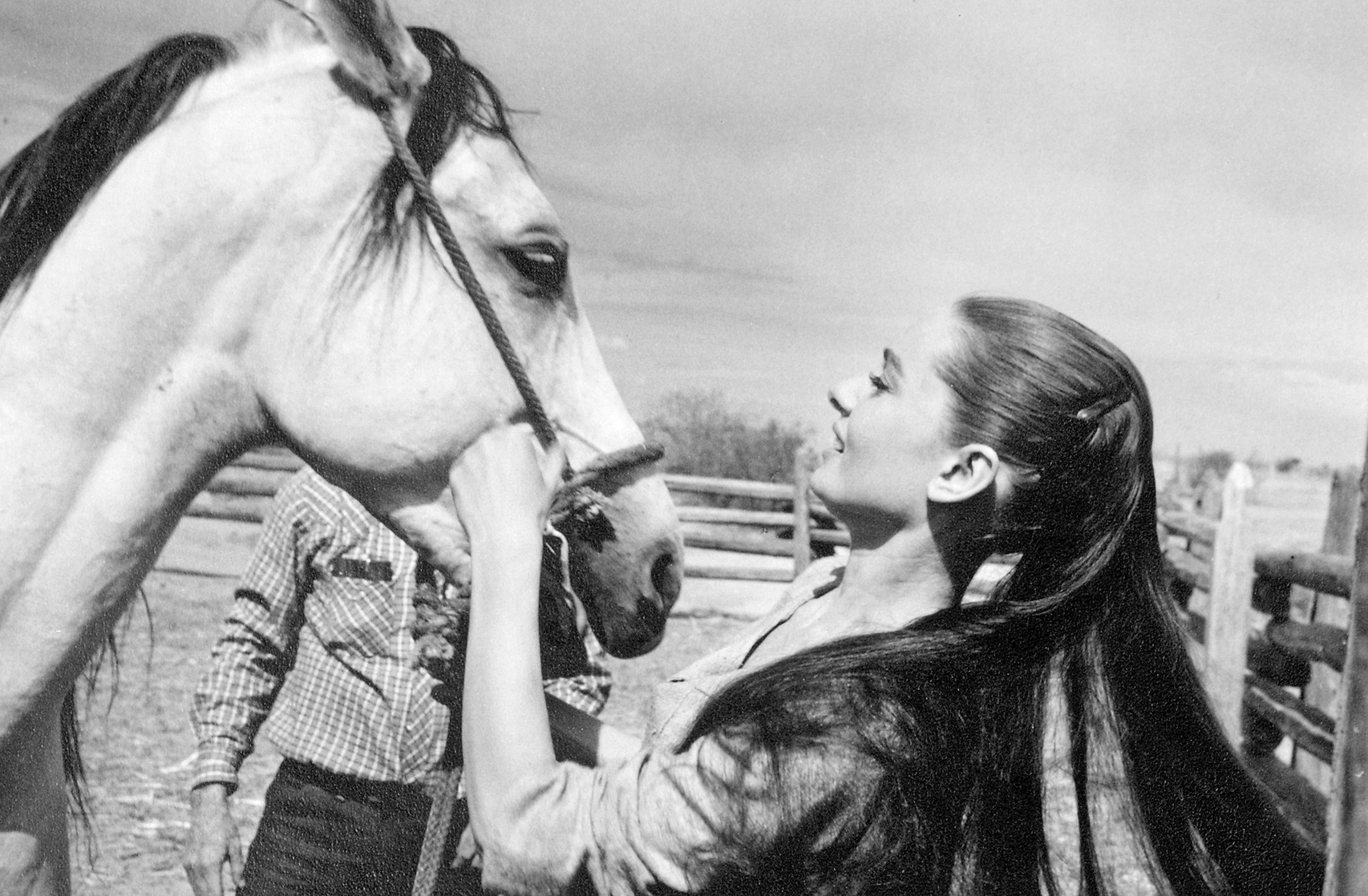 Audrey Hepburn Audrey Hepburn