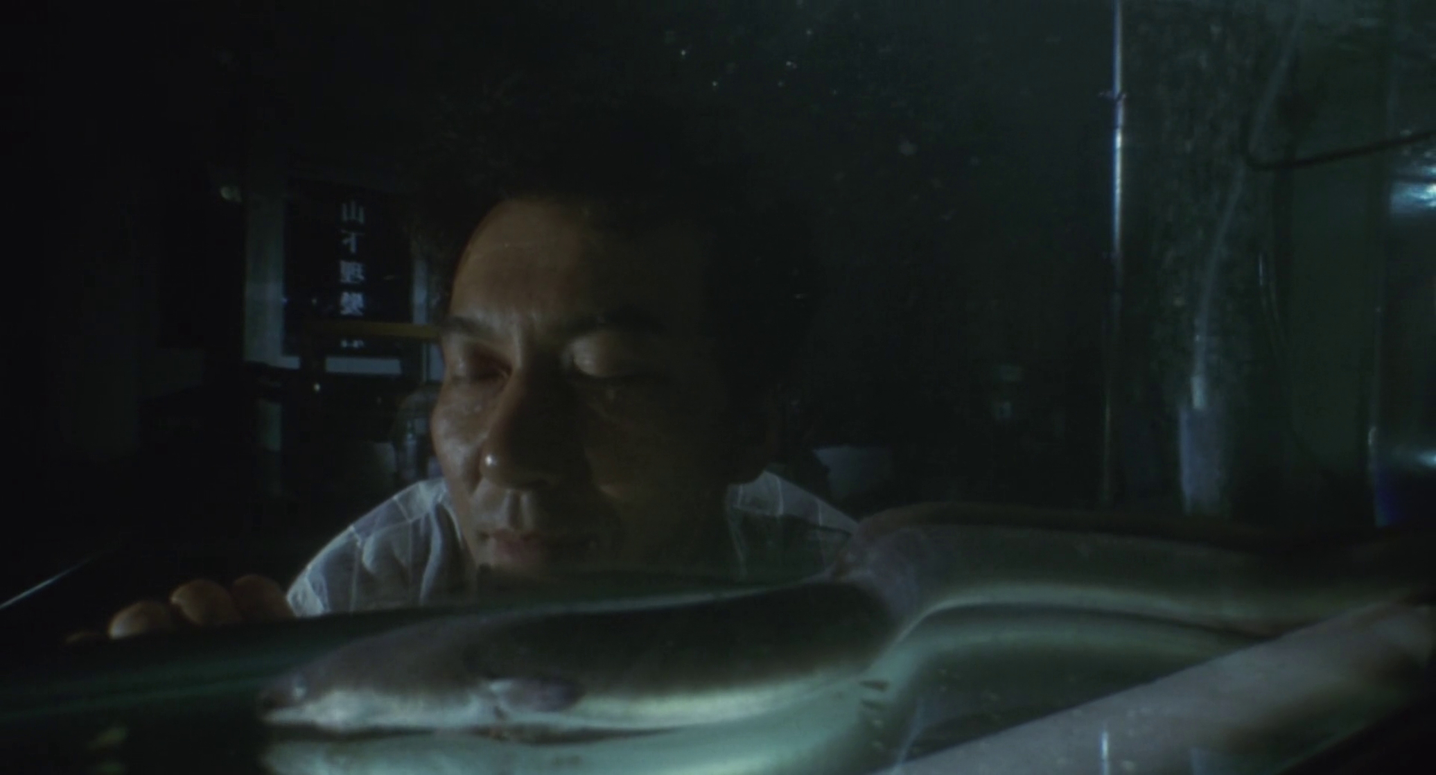 The Eel