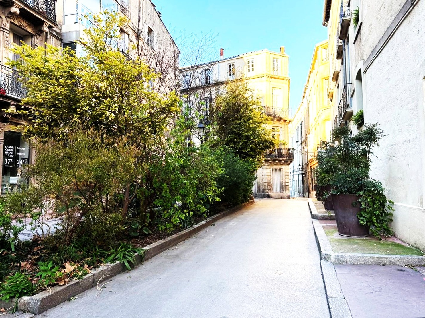 Montpellier (France) Montpellier (France)