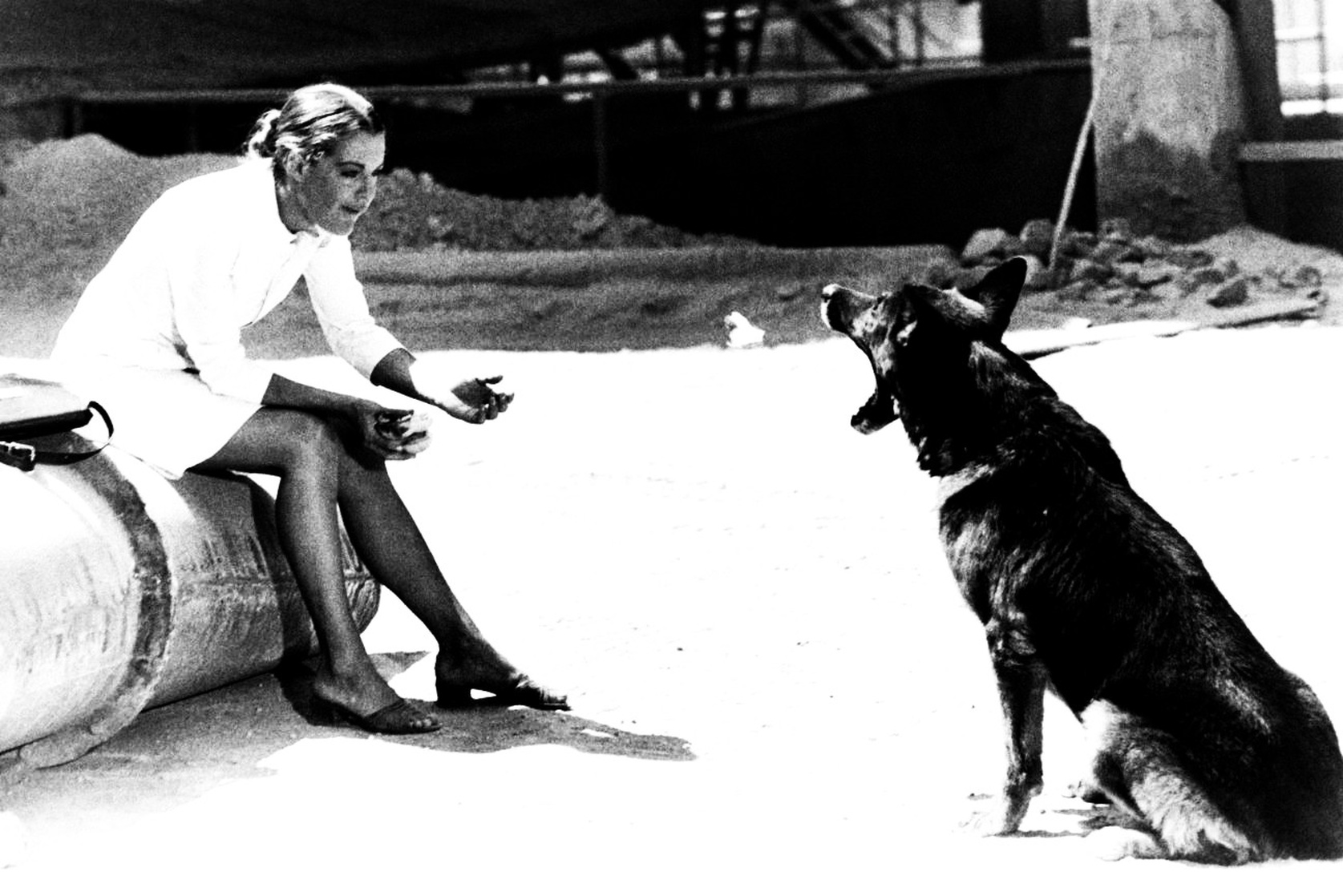 Romy Schneider Romy Schneider